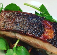 The Shaggy Cow - Accommodation Mooloolaba