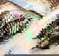 Frank and Connie's Kitchen - Accommodation Mooloolaba