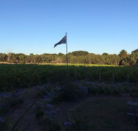 Lazzar Wines - Accommodation Mooloolaba