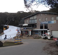 The Last Hoot - Accommodation Mooloolaba
