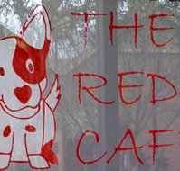 Red Dog Cafe - Accommodation Mooloolaba