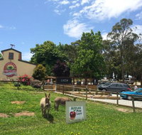 Sherwood Park Orchard Bakery Cafe - Accommodation Mooloolaba