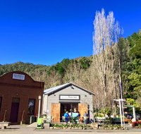 The Greyhorse Cafe - Accommodation Mooloolaba