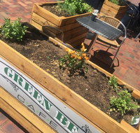 Green Bean Cafe - Accommodation Mooloolaba