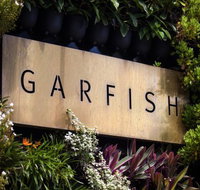 Garfish - Accommodation Mooloolaba