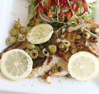 Manly Fish Cafe - Accommodation Mooloolaba