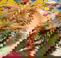 Mu Cha Cha Mexican Kitchen - Accommodation Mooloolaba