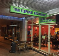 Thai Elephant