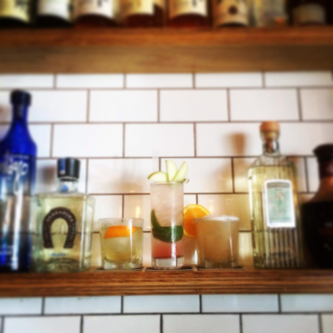 Dagwood - Accommodation Mooloolaba 0