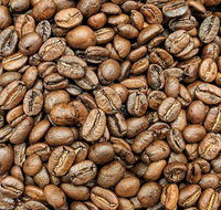 Coffee Guru Ulladulla - Accommodation Mooloolaba