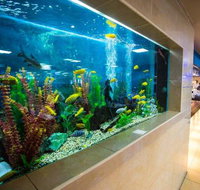 Swansea Workers Club - Accommodation Mooloolaba