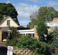 Tipsy Fig - Accommodation Mooloolaba