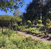 Yatte Yattah Nursery  Cafe - Accommodation Mooloolaba