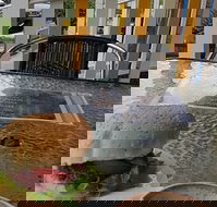 The Great North Cafe - Accommodation Mooloolaba