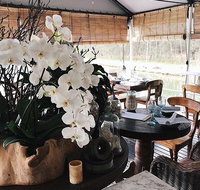 Leaves  Fishes - Accommodation Mooloolaba