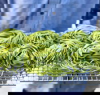 Young Barons - Accommodation Mooloolaba