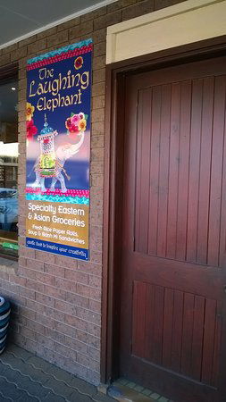 Laughing Elephant - Accommodation Mooloolaba 0