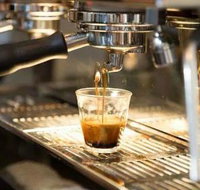 Black Bear Cafe - Accommodation Mooloolaba