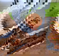 Hello Harry - Accommodation Mooloolaba