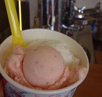 Bermagui Gelati Clinic - Accommodation Mooloolaba