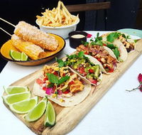 Chihuahua - Accommodation Mooloolaba