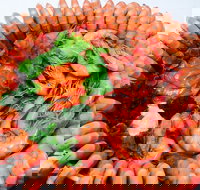 Evans Head Fishermens Co-Op - Accommodation Mooloolaba