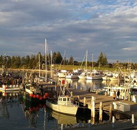 Horse  Camel - Accommodation Mooloolaba