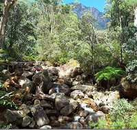 Star Chinese Restaurant - Accommodation Mooloolaba