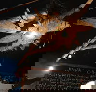 Blackfish Cafe - Accommodation Mooloolaba