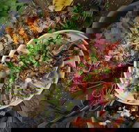 OlleyvilleShaw - Accommodation Mooloolaba