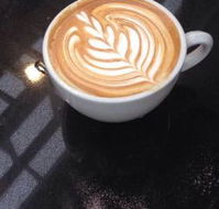 One Tree Coffee - Accommodation Mooloolaba
