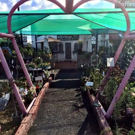 Bearbong NSW Accommodation Mooloolaba