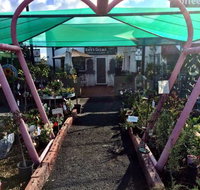 The Next Grind - Accommodation Mooloolaba