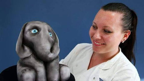 Cakes By Kyla - Accommodation Mooloolaba 0