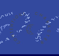 Contentious Character - Accommodation Mooloolaba