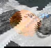 Country Kitchen Gourmet Pies - Accommodation Mooloolaba