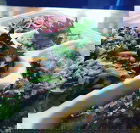 Steam  Cedar - Accommodation Mooloolaba