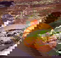 Village Bakehouse Orange - Accommodation Mooloolaba