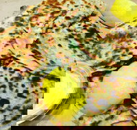 Gozleme King - Macquarie Park - Accommodation Mooloolaba