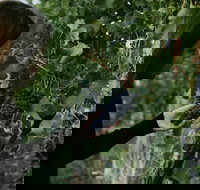 Rowlee Vine To Table Experience - Accommodation Mooloolaba