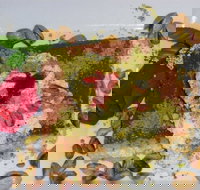 Sweet City - Accommodation Mooloolaba