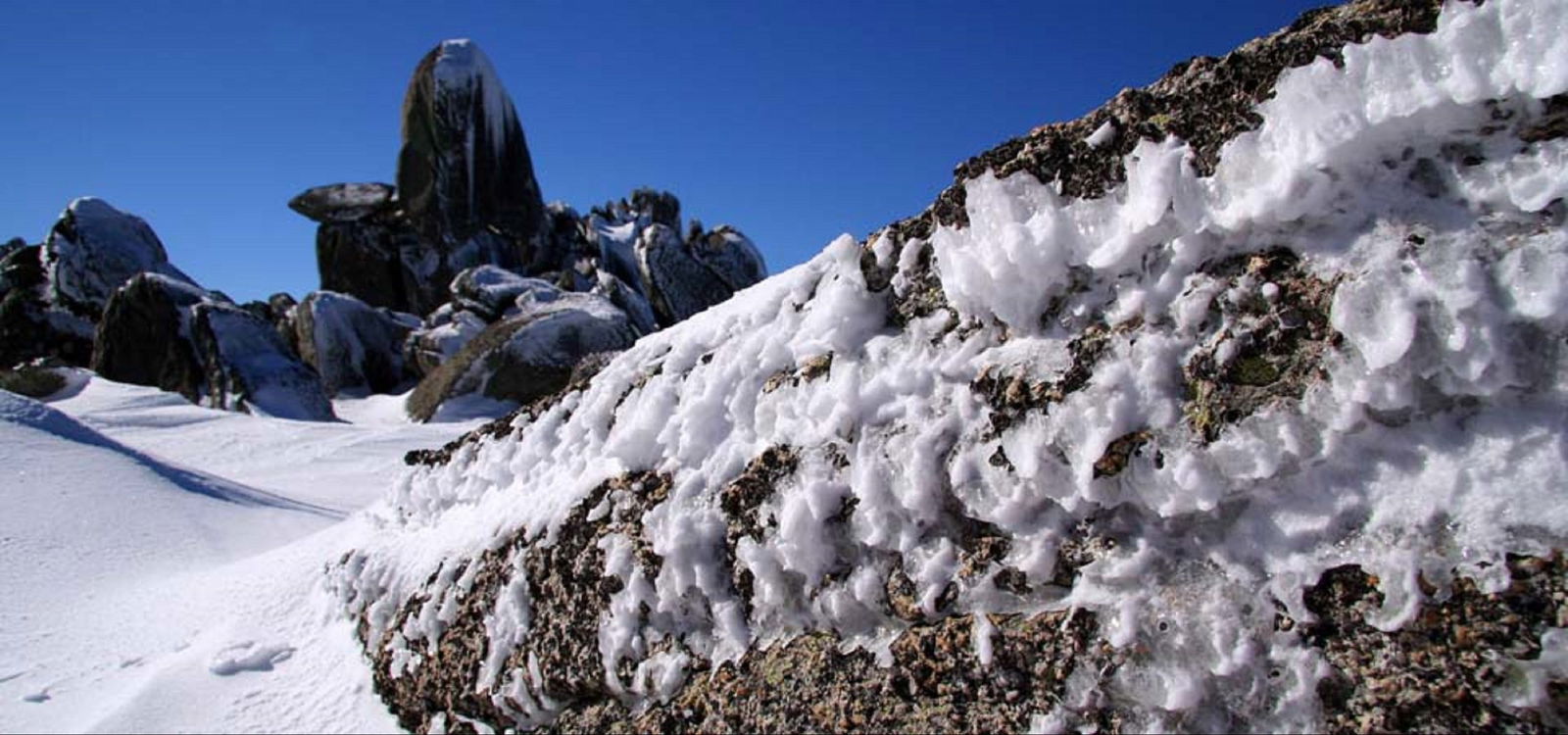 Pilot Wilderness NSW Accommodation Mooloolaba