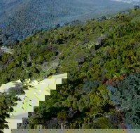 Canopy Cafe - Accommodation Mooloolaba