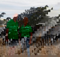 Milawa Organic Beef - Accommodation Mooloolaba