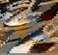 Perso - Accommodation Mooloolaba