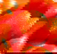 Punjab Indian Sweets and Restaurant - Mount Druitt - Accommodation Mooloolaba