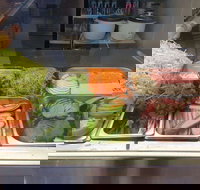 Xcel Roll - Coogee - Accommodation Mooloolaba