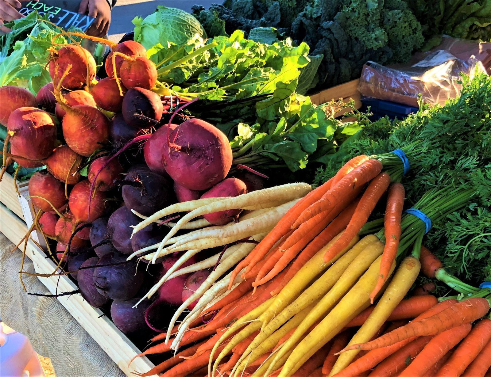 Cambrai SA Accommodation Mooloolaba