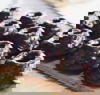 Botanica - Red Hill - Accommodation Mooloolaba