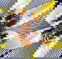 Food Business  Chapel Hill - Accommodation Mooloolaba